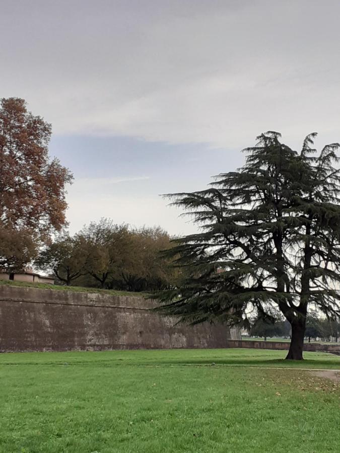 Dimora Altemura Lucca Exterior foto